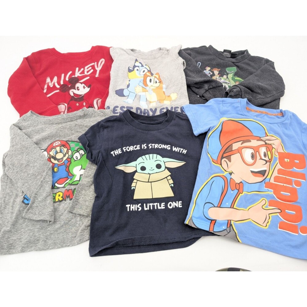 Boys Character Shirt Sweater Lot Bluey Blippi Mickey Yoda Mario Toy Story 3T